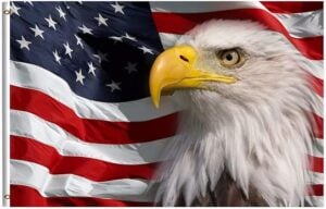 Patriotic USA flag with eagle image from amazon page